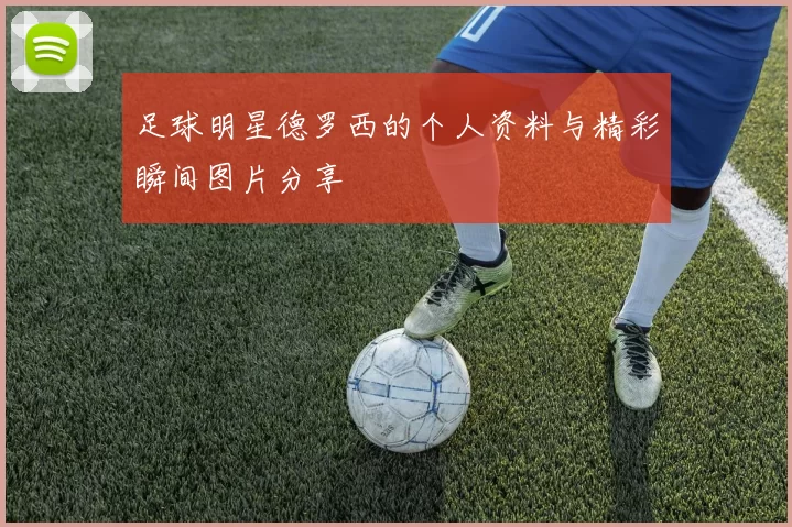 足球明星德罗西的个人资料与精彩瞬间图片分享